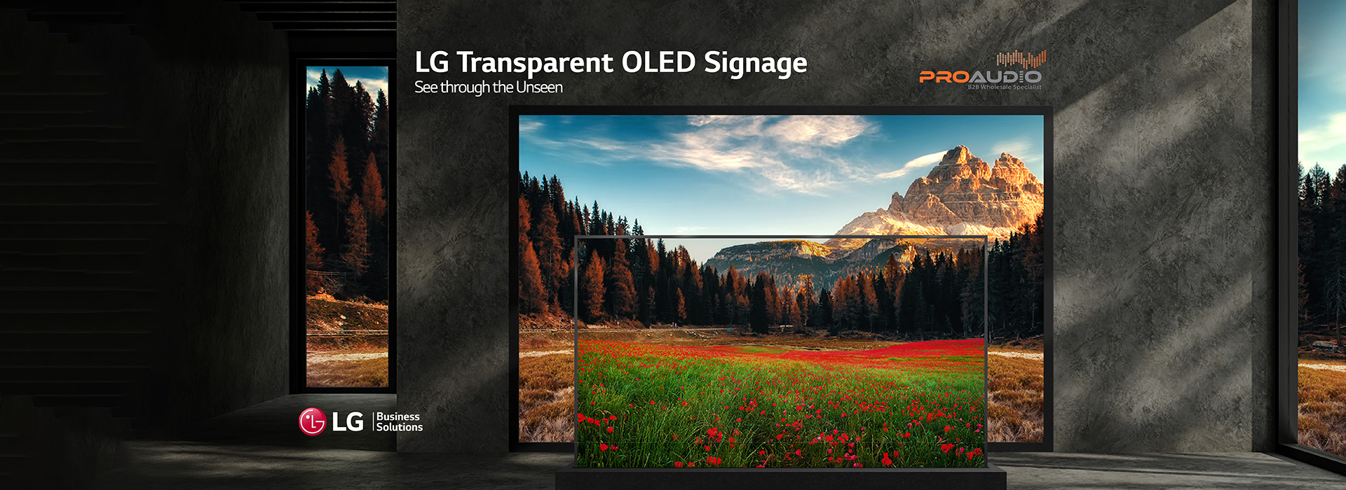 LGTransparentOLED